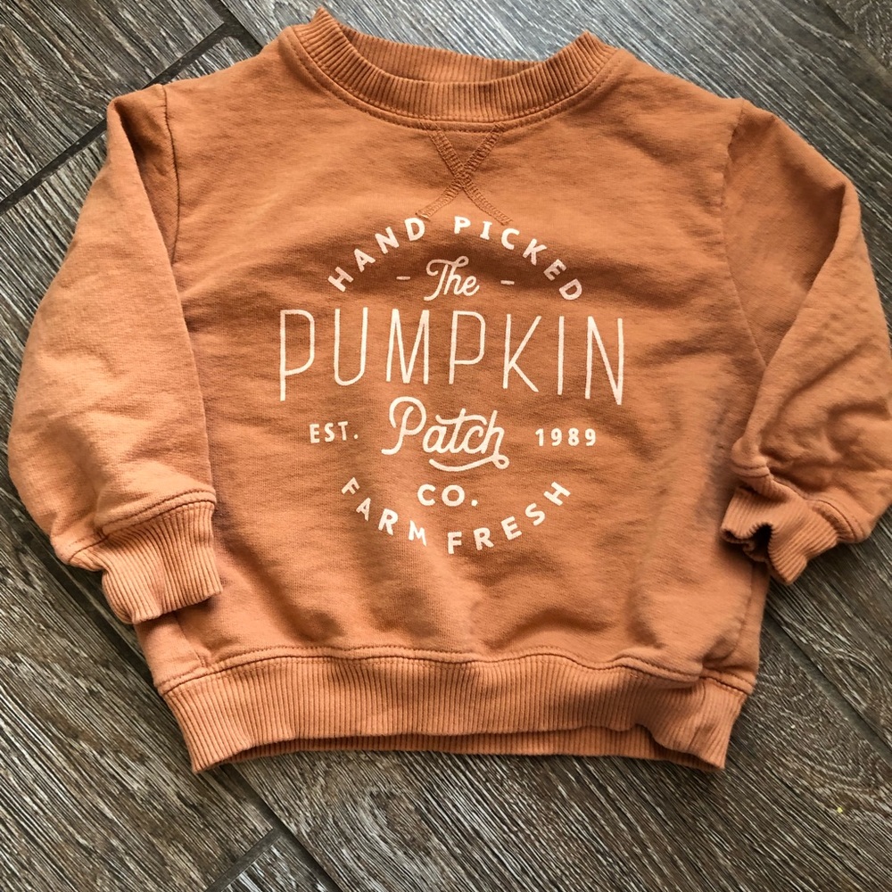 June and Grey pumpkin patch pullover